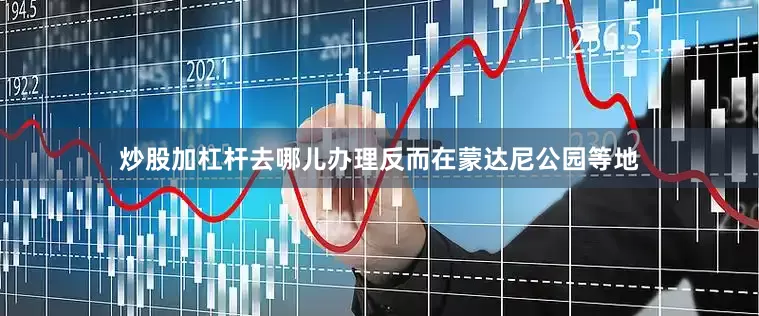 炒股加杠杆去哪儿办理反而在蒙达尼公园等地
