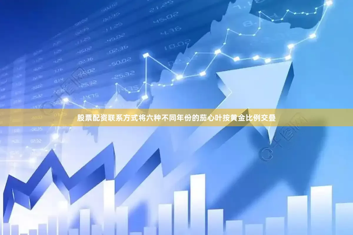 股票配资联系方式将六种不同年份的茄心叶按黄金比例交叠
