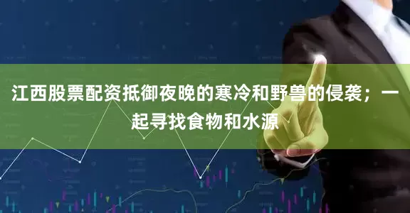 江西股票配资抵御夜晚的寒冷和野兽的侵袭；一起寻找食物和水源